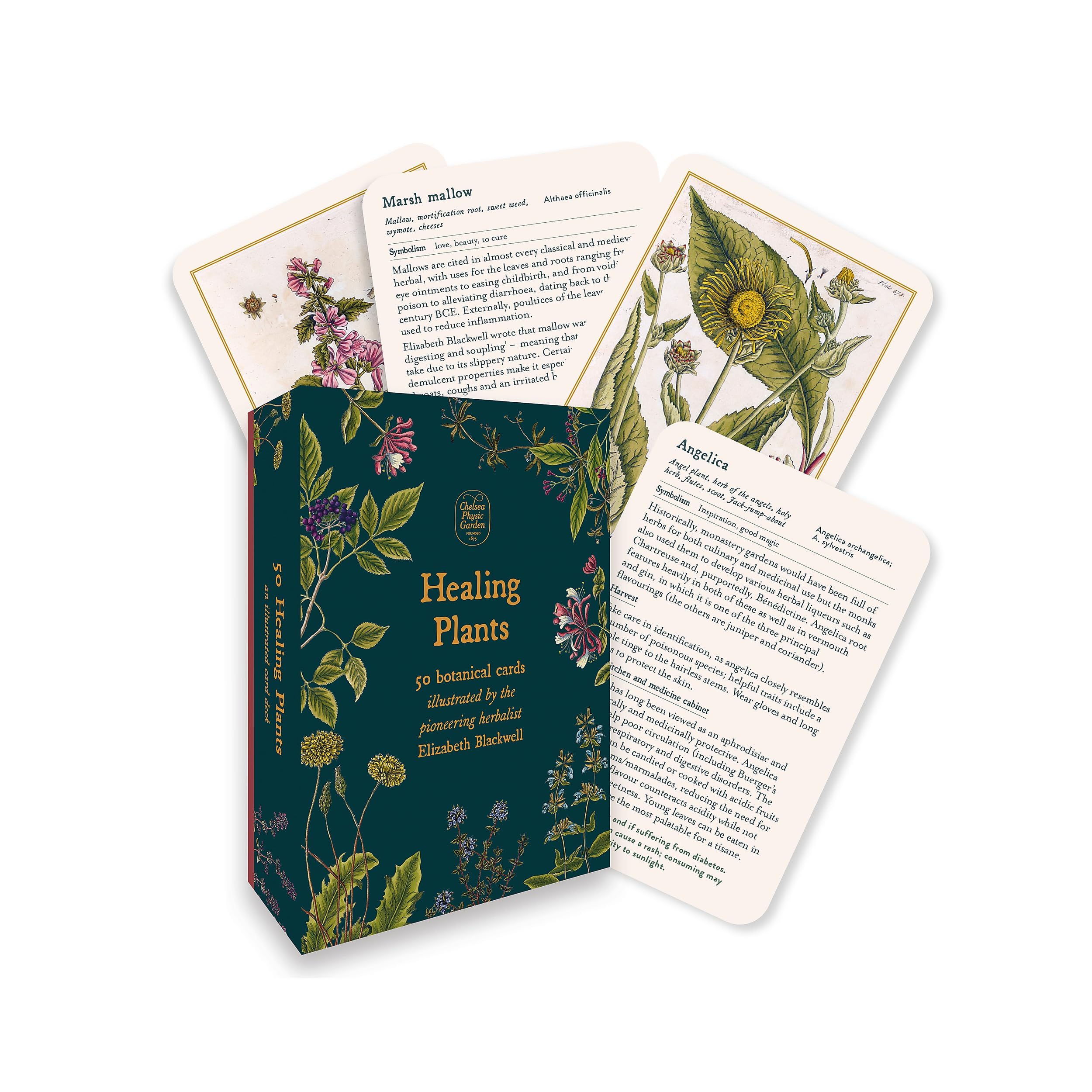 Healing Plants: 50 botanical cards illustrated by the pioneering